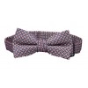 Blue & Red Pattern Boys Bow Ties