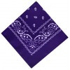 buy Purple Paisley Boys Bandana