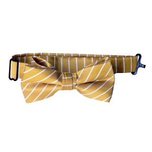 Gold with White Stripe Boys Bow Tie
