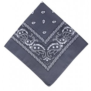 Grey Paisley Kids Bandana