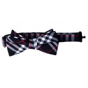 Navy & Red Boys Bow Ties