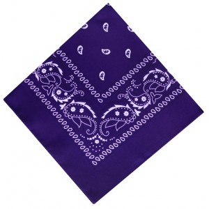 buy Purple Paisley Boys Bandana