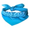 Baby Blue Paisley Kids Bandanas