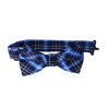 Butterfly Blue Boys Bow Ties