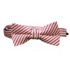 Red Stripe Boys Bow Tie